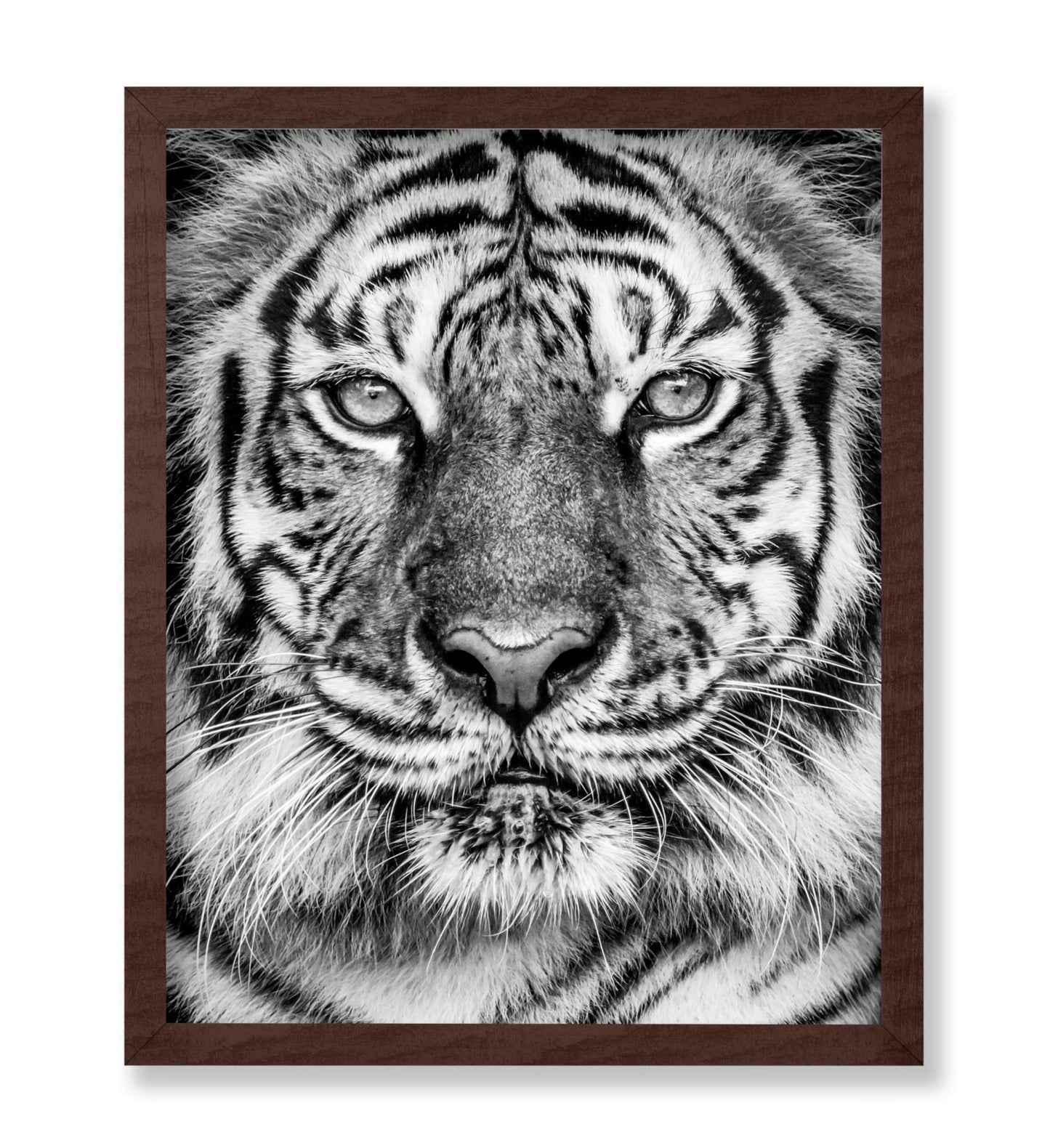 Tiger No2