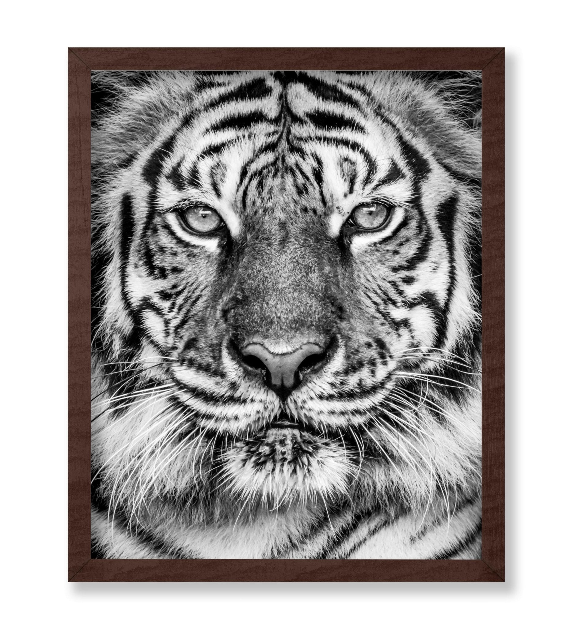 Tiger No2