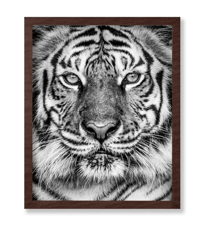 Tiger No2
