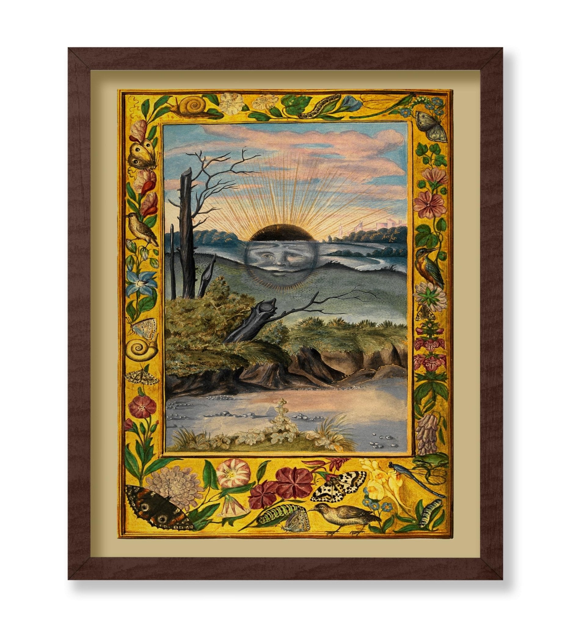 Splendor Solis