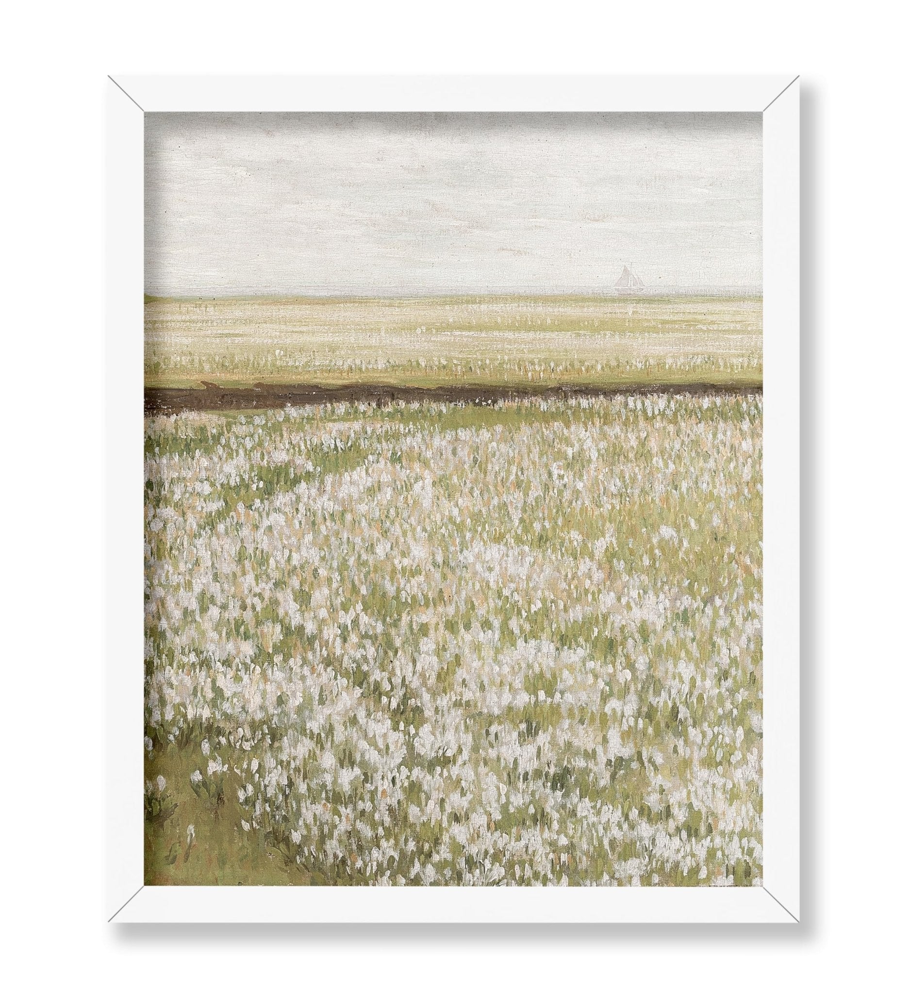 Spring Meadow