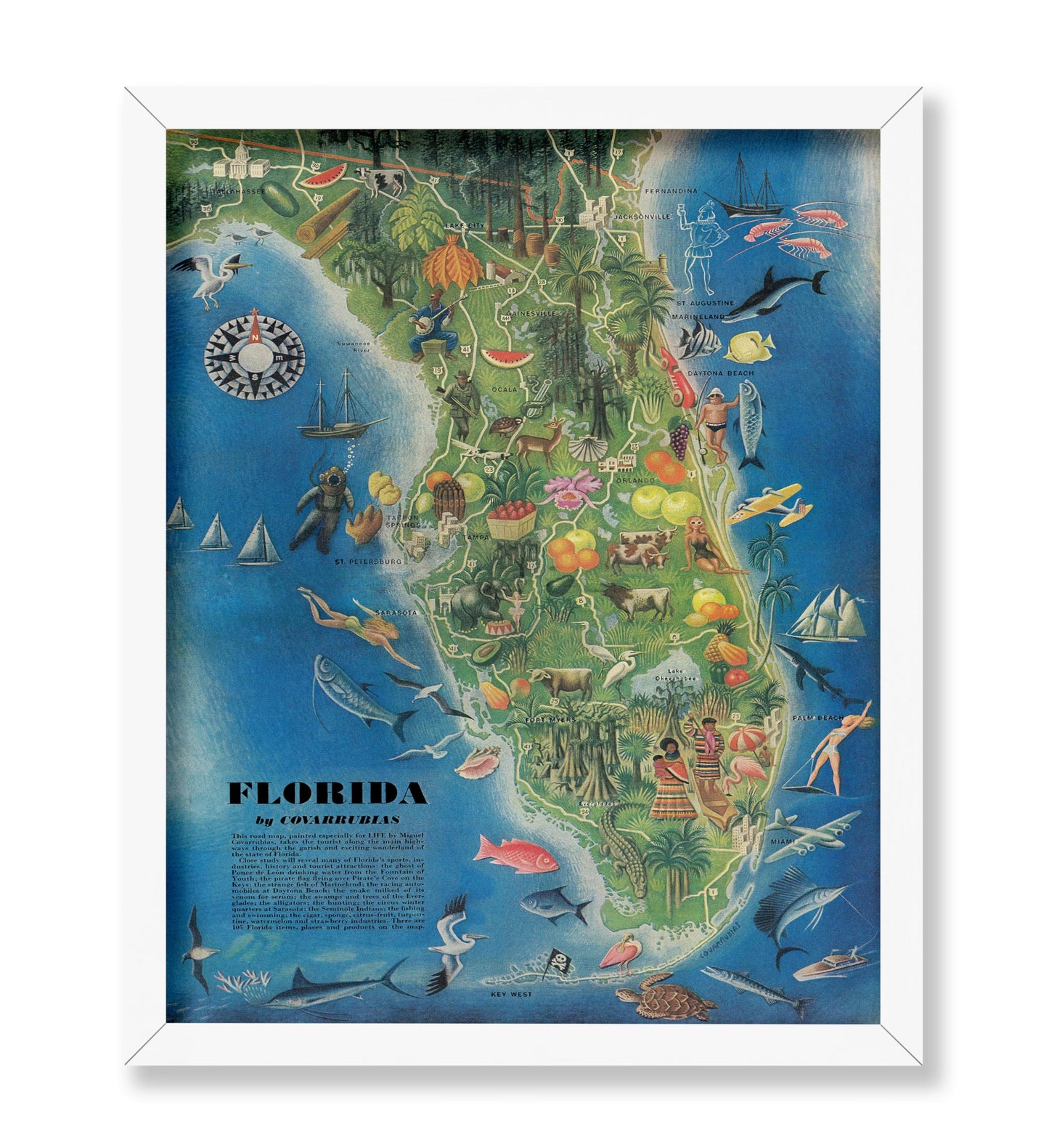 Florida Pictorial State Map