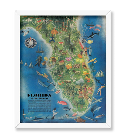 Florida Pictorial State Map