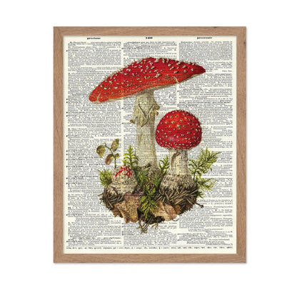 Fly Agaric Mushroom