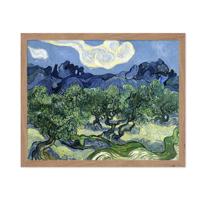 Van Gogh - Olive Trees