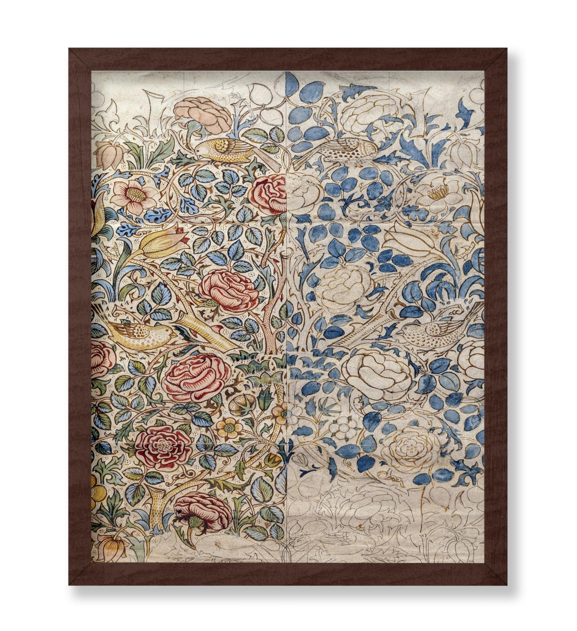 William Morris - Rose No1
