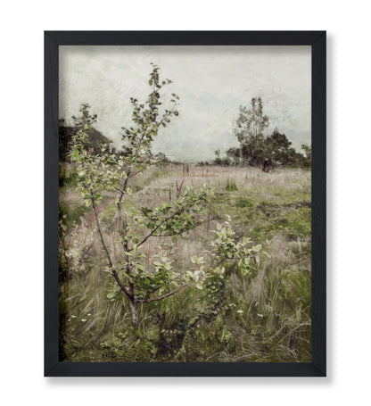 Field of Meadows