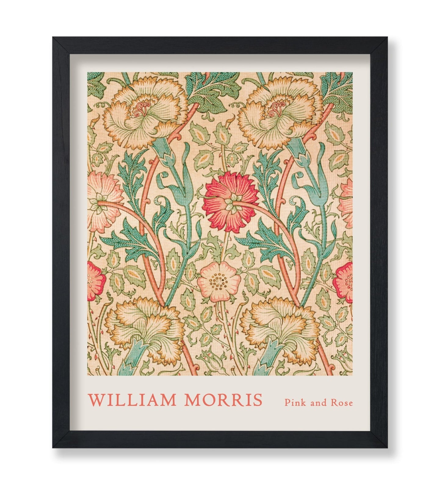William Morris - Rose No3
