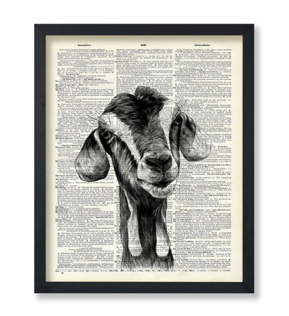 Goat Portrait