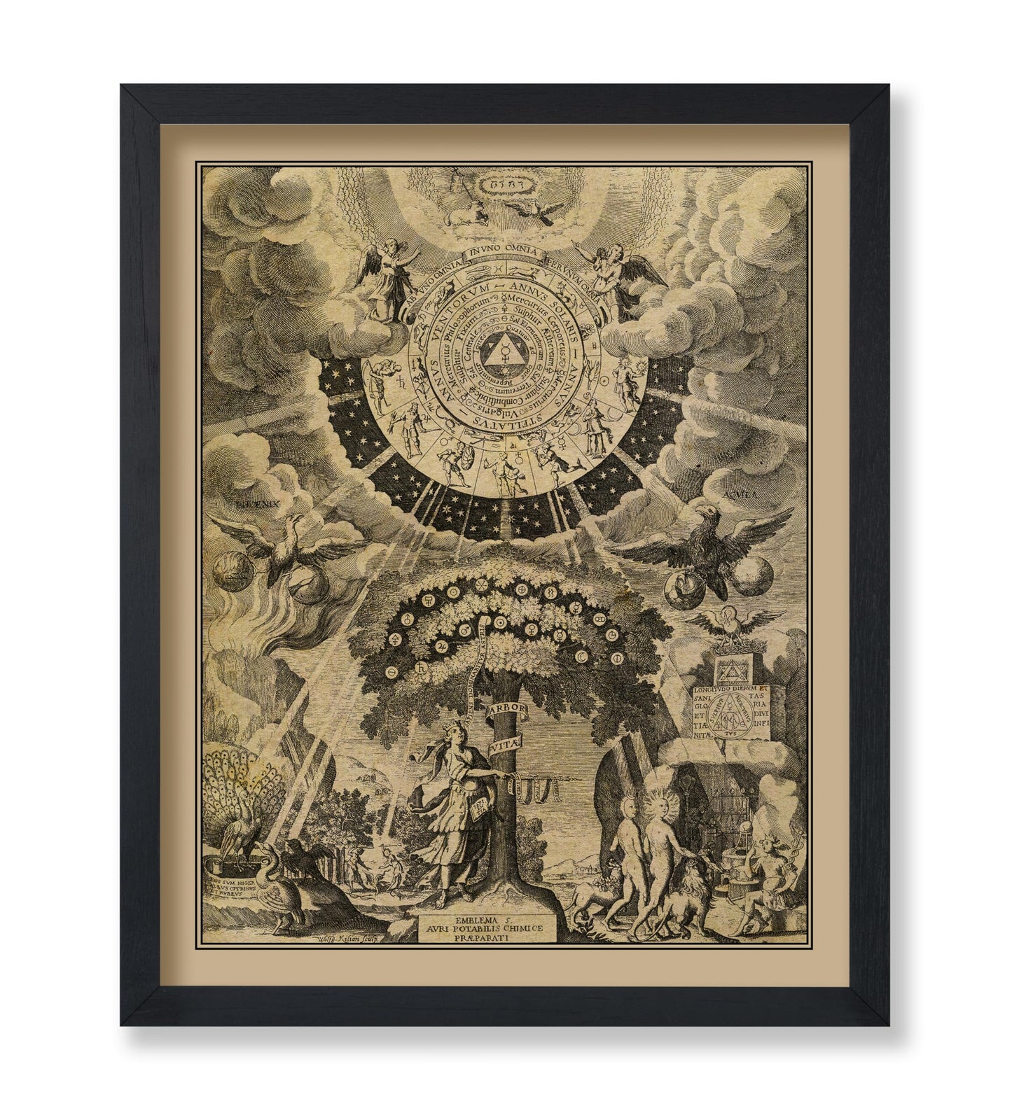 The Alchemical Tree of Life