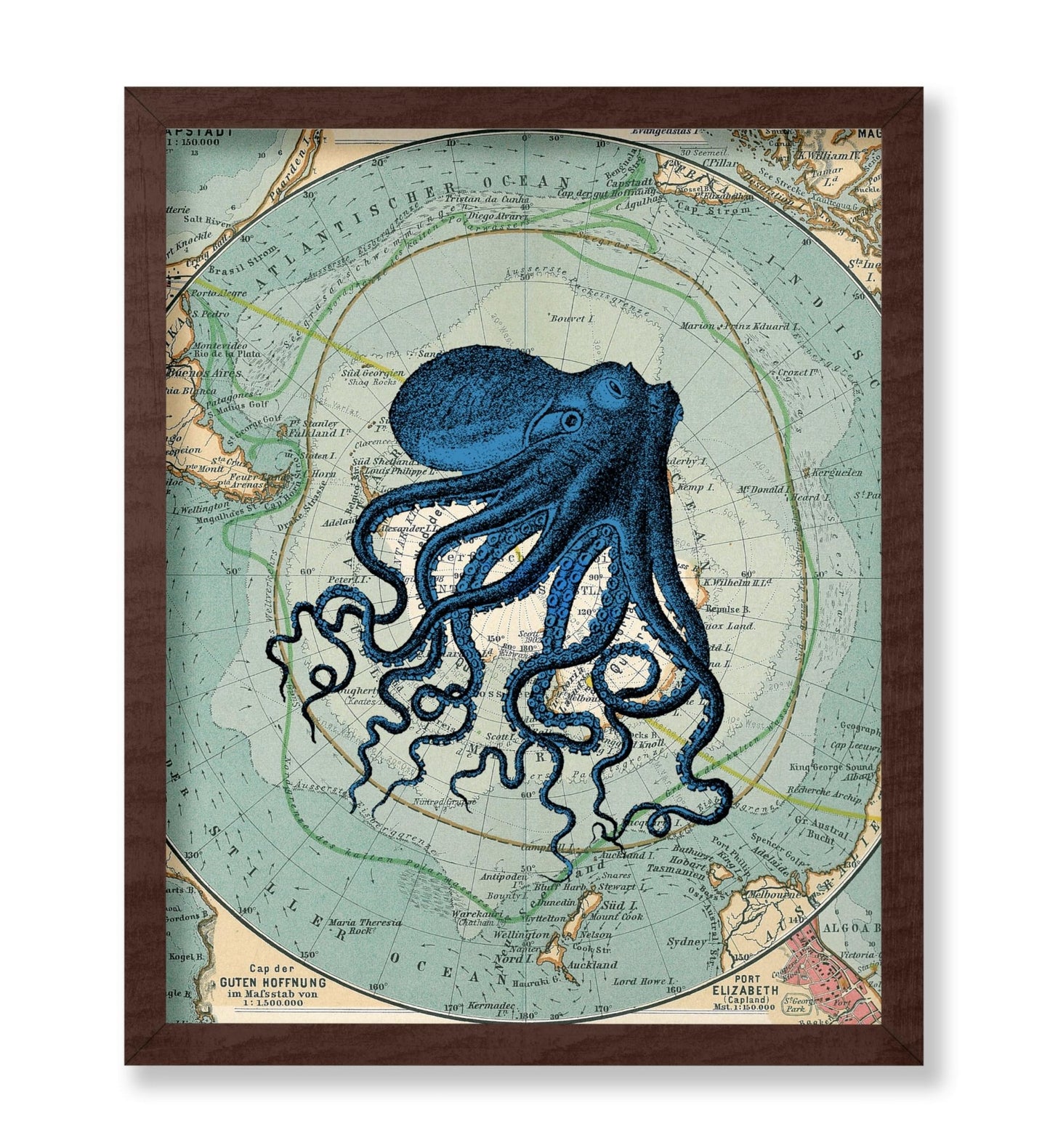 Antarctica Map and Blue Octopus