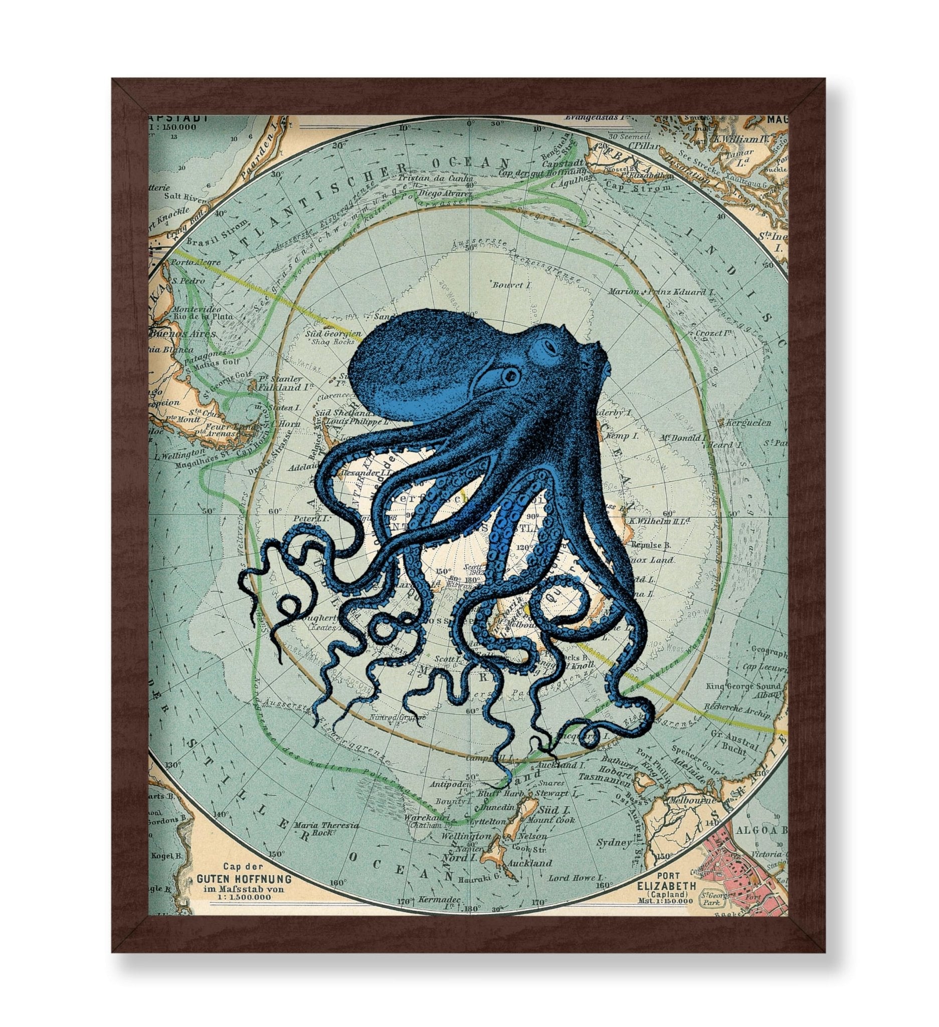 Antarctica Map and Blue Octopus