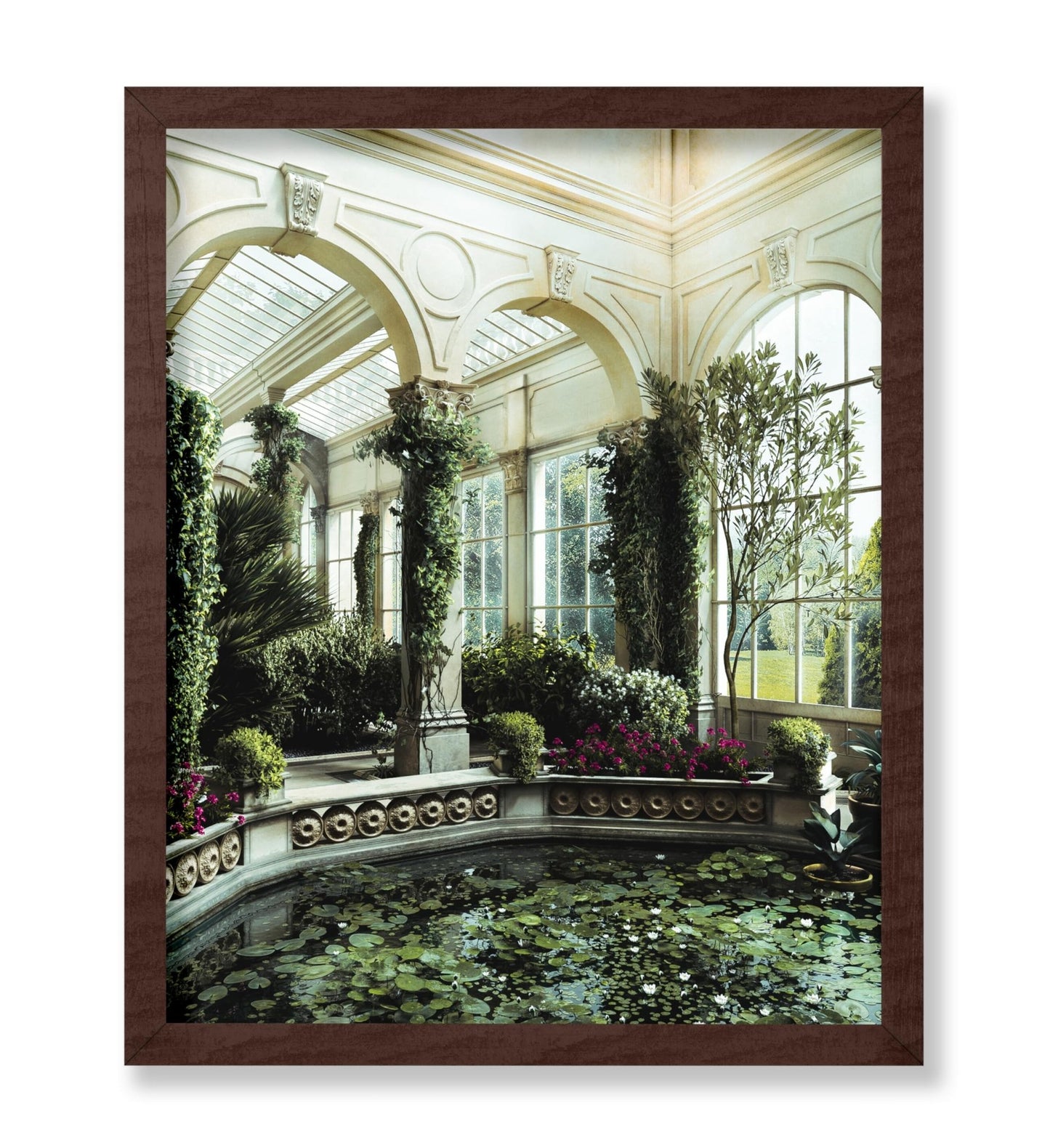 Water Lily Pond