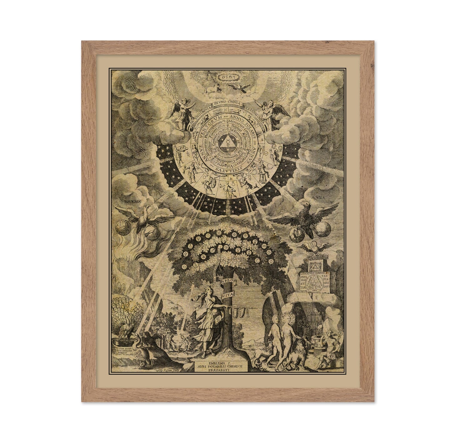 The Alchemical Tree of Life