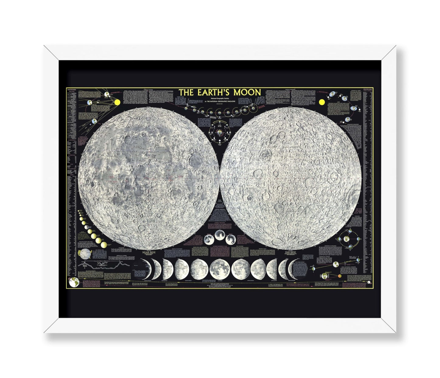The Earth's Moon