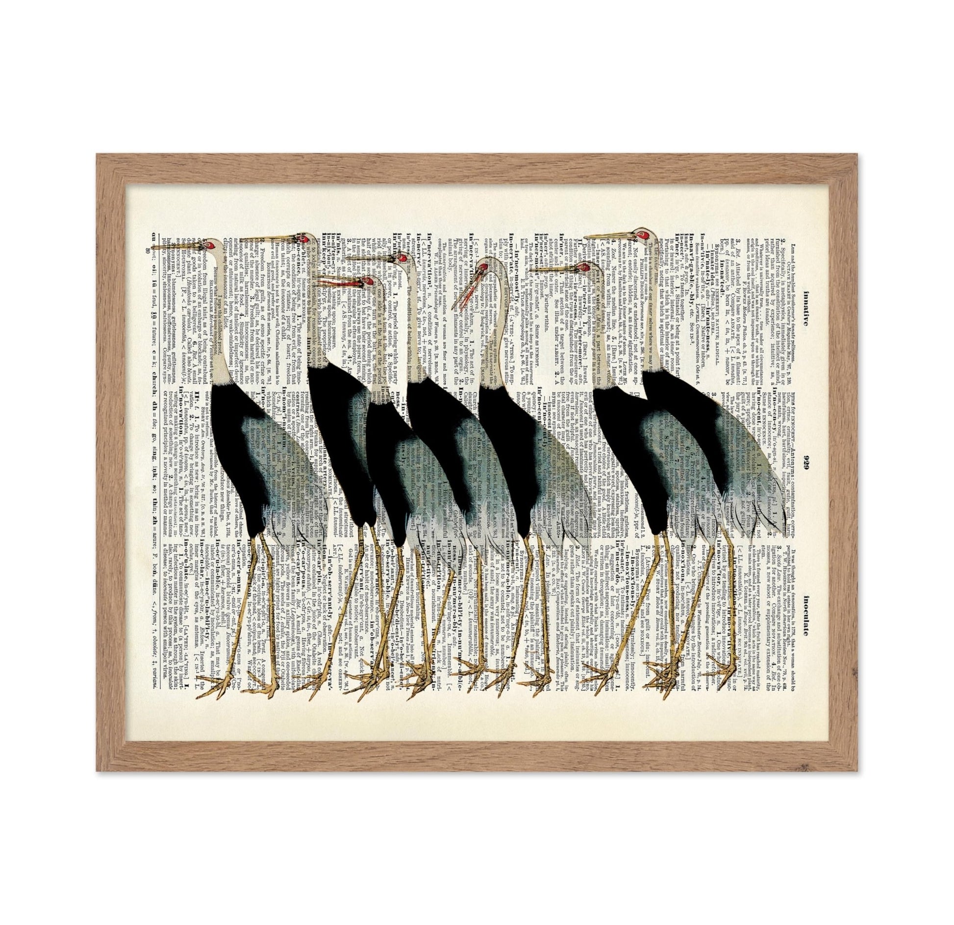 Flock of Japanese Red Crown Crane