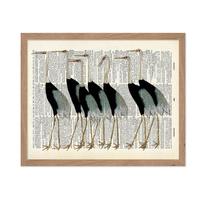 Flock of Japanese Red Crown Crane