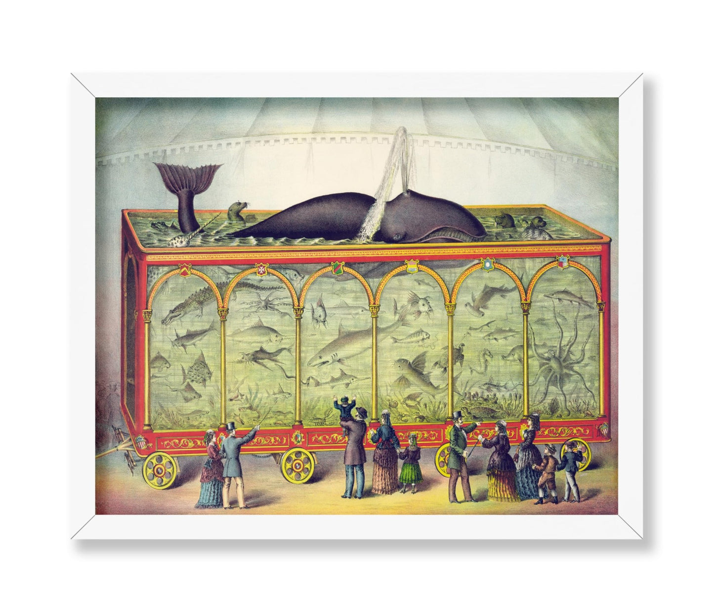 Circus Aquarium
