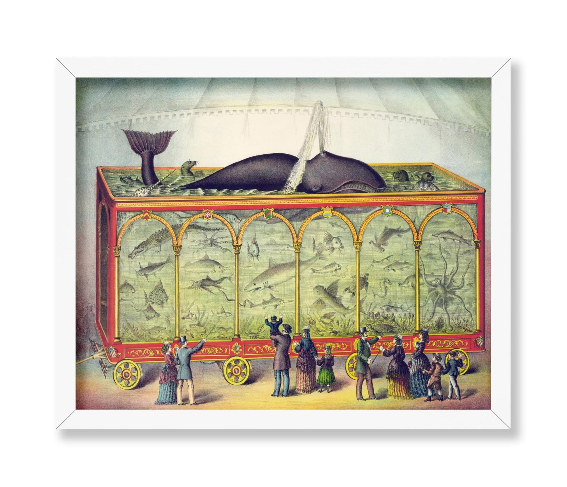 Circus Aquarium
