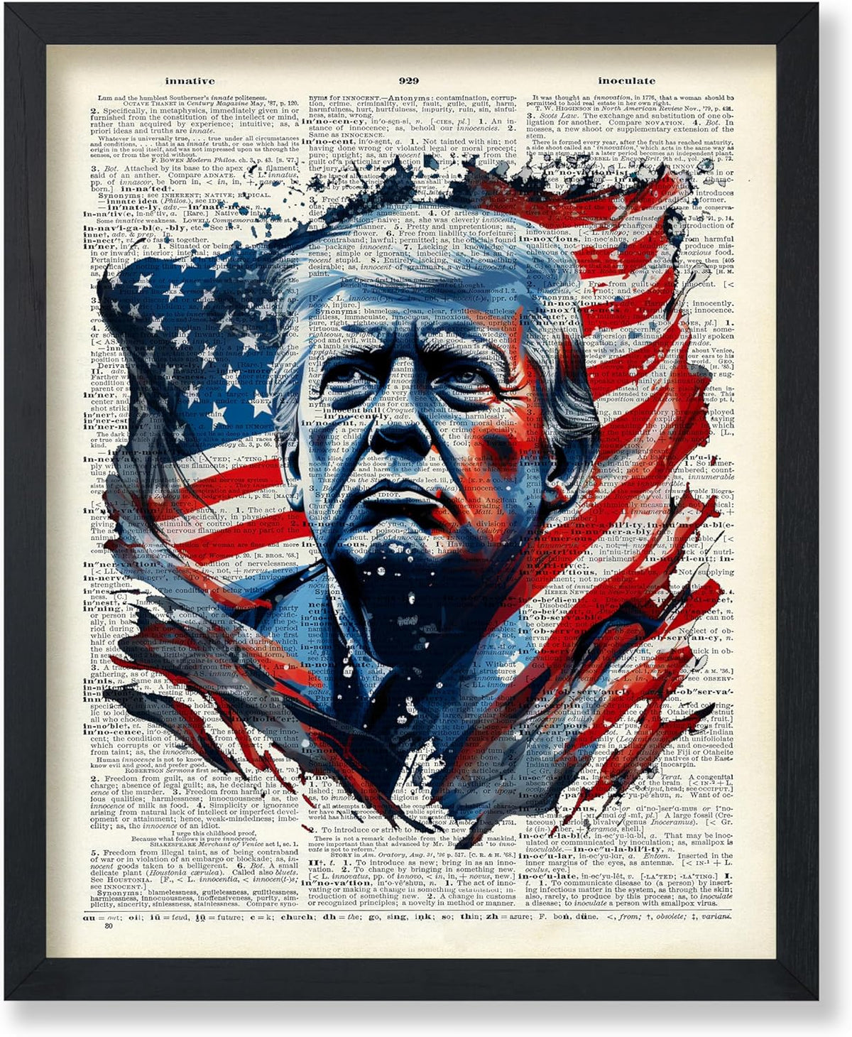 Trump Dictionary Art
