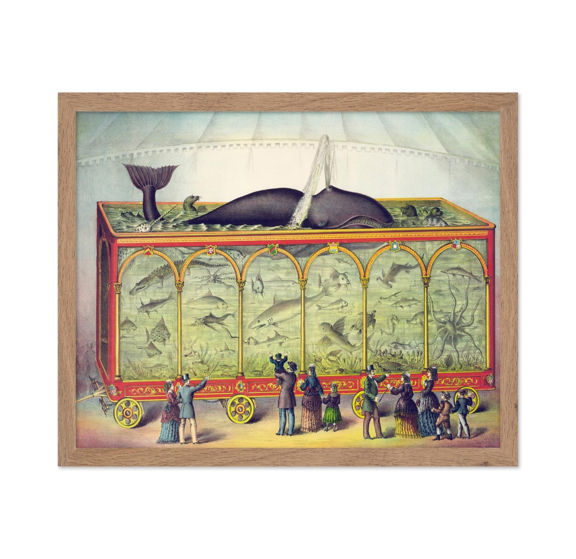 Circus Aquarium