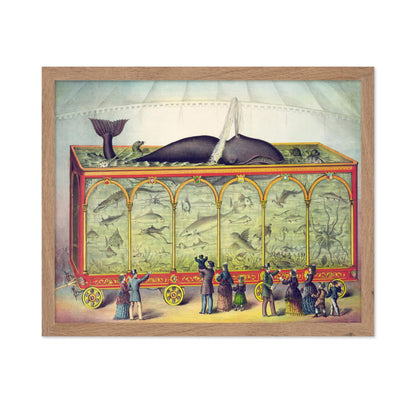 Circus Aquarium