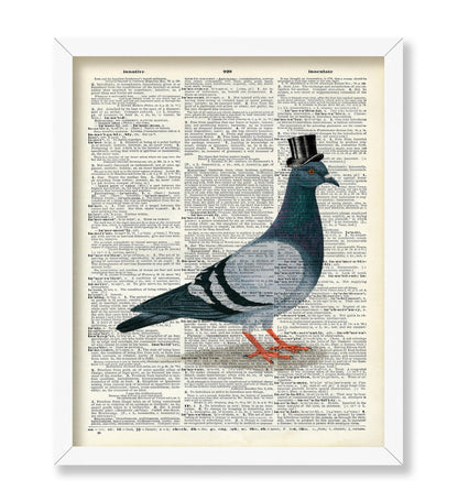 Pigeon in a Top Hat