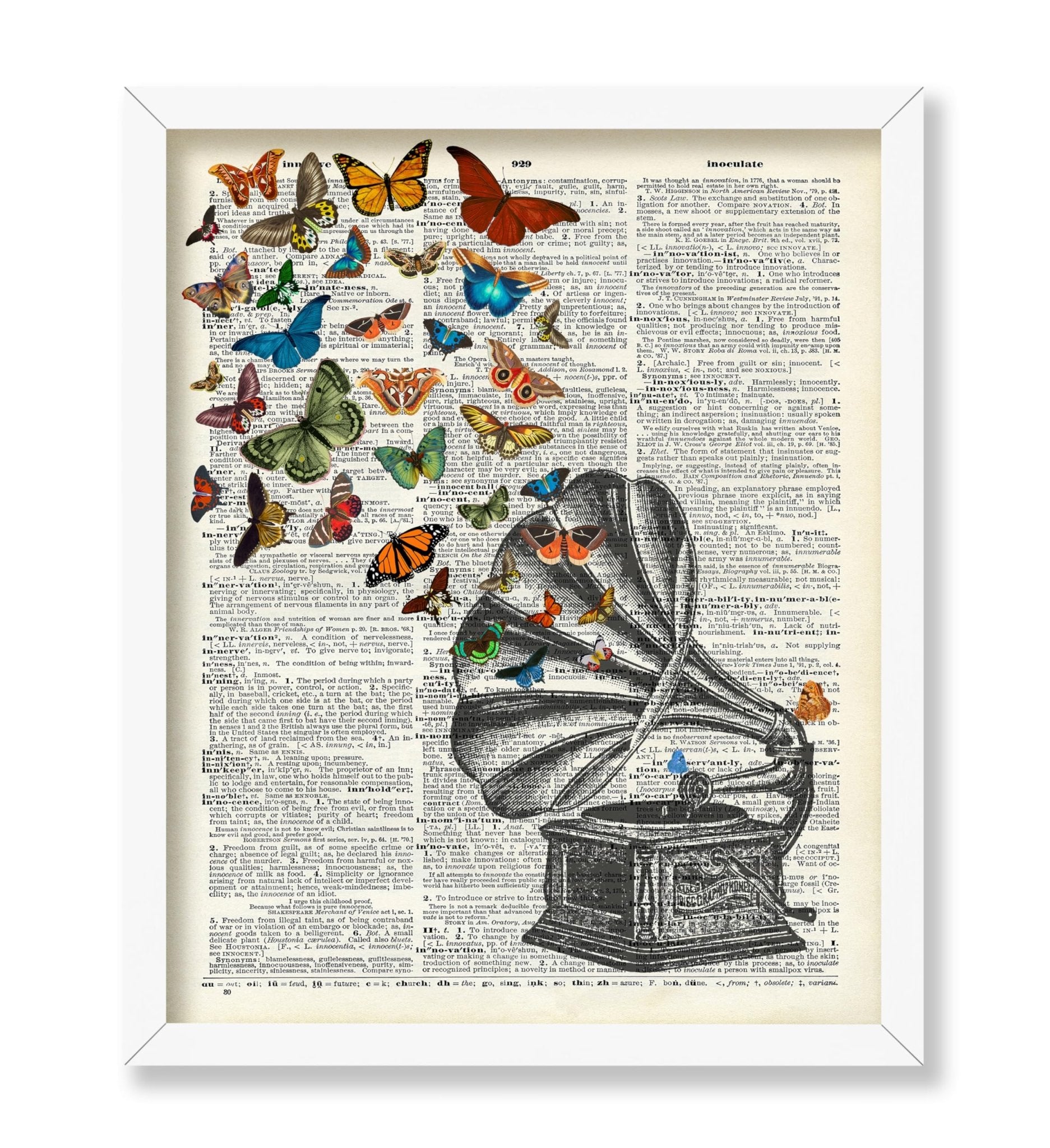 Phonograph and Butterflies