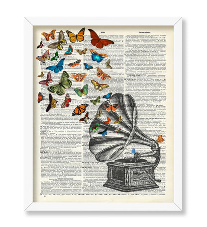 Phonograph and Butterflies