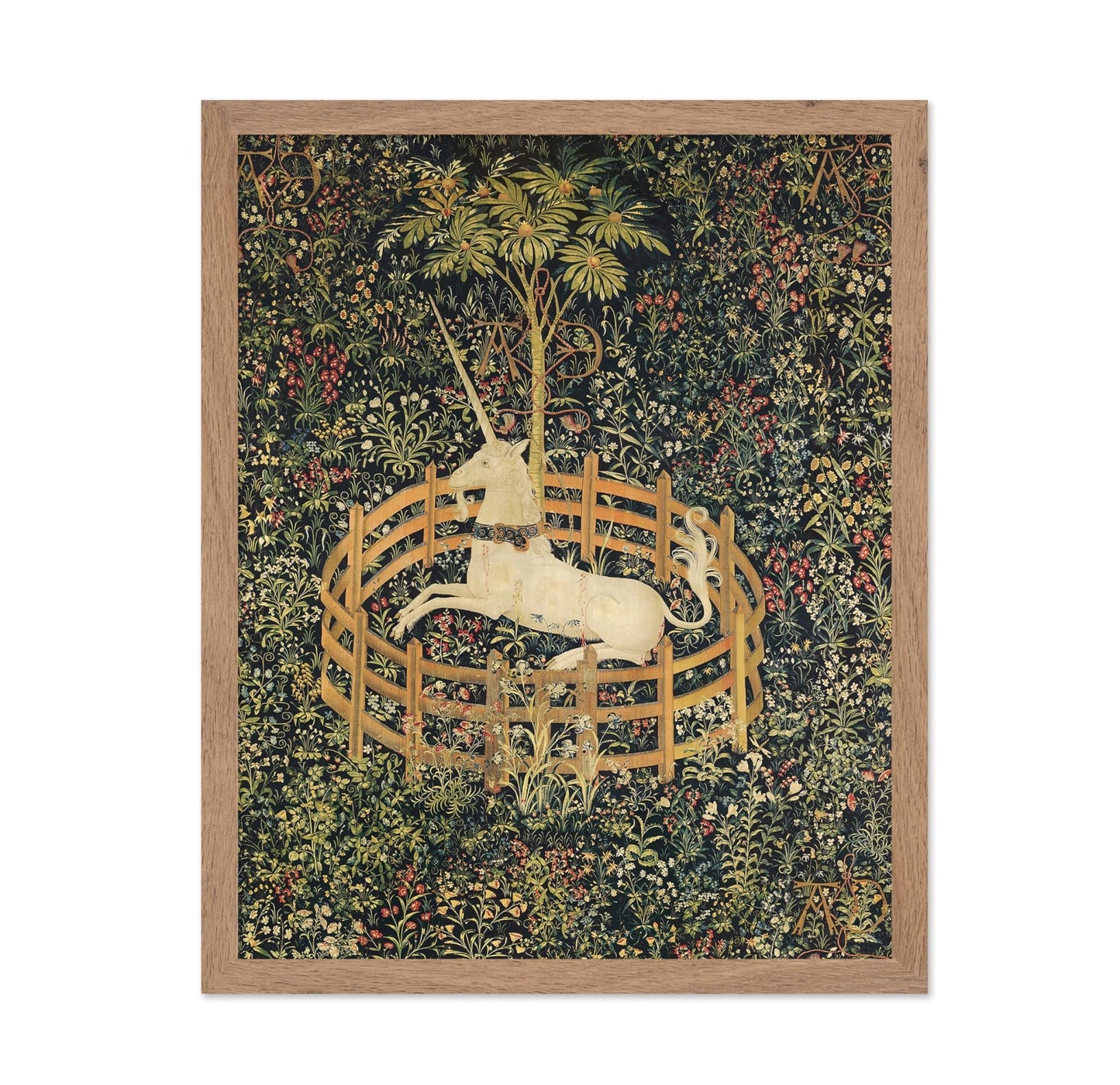 The Unicorn in Captivity