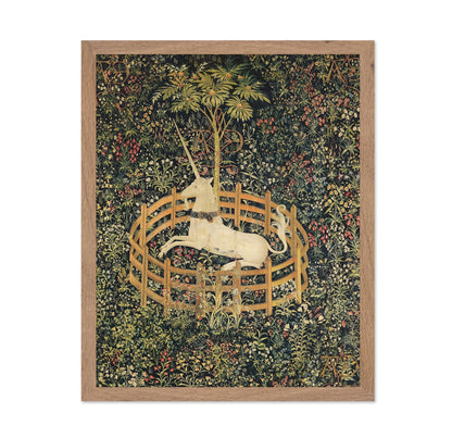 The Unicorn in Captivity