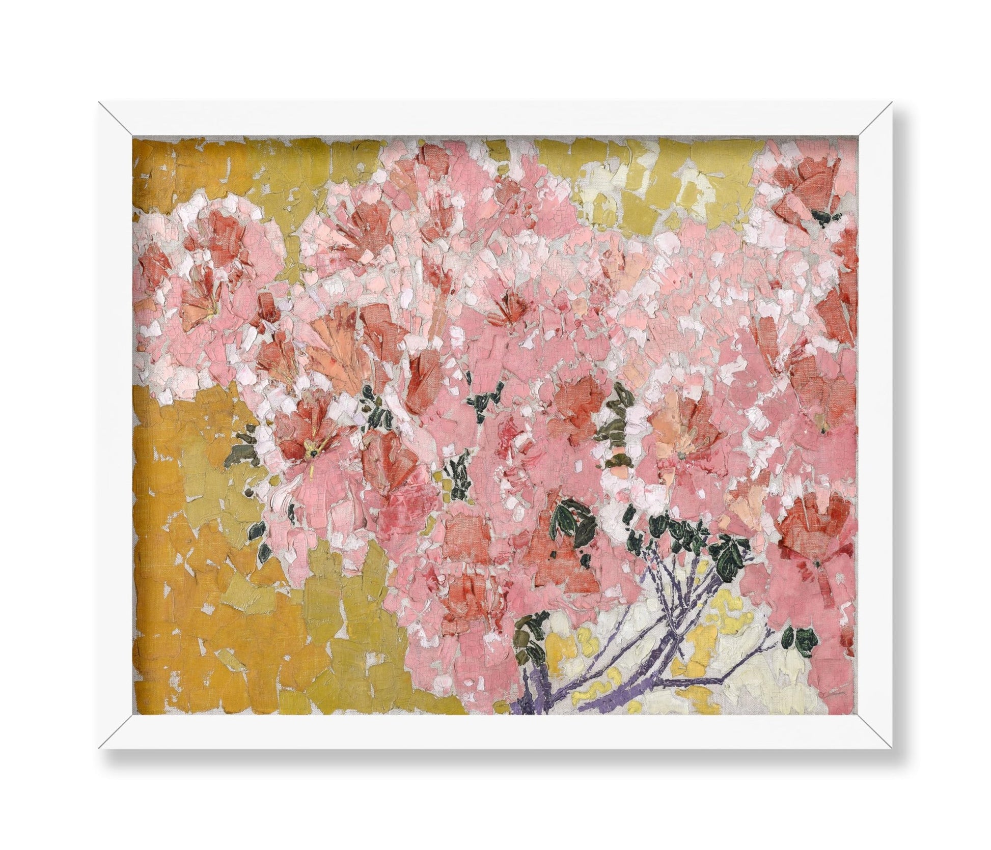 Blooming Azaleas