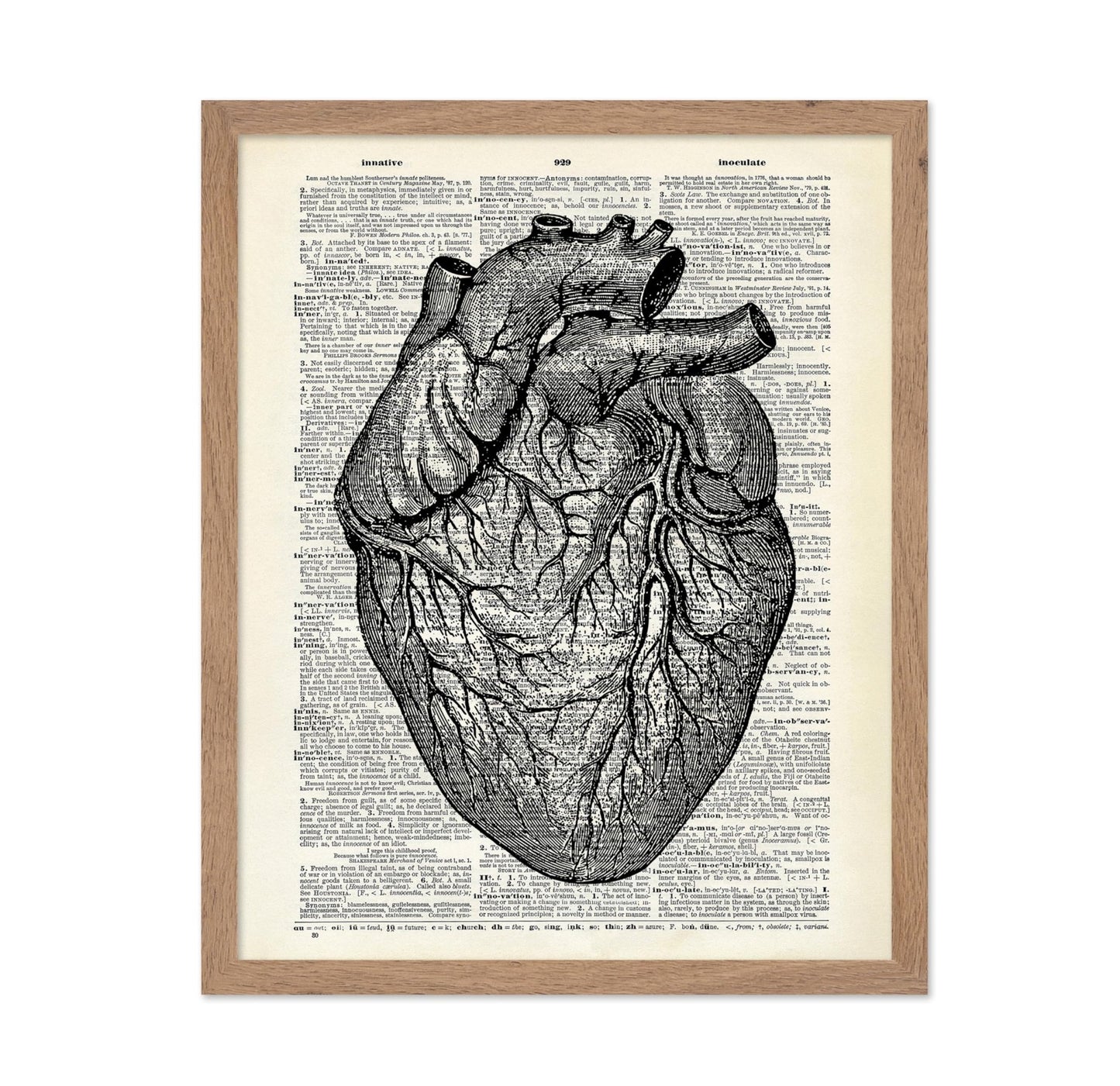 Anatomical Heart