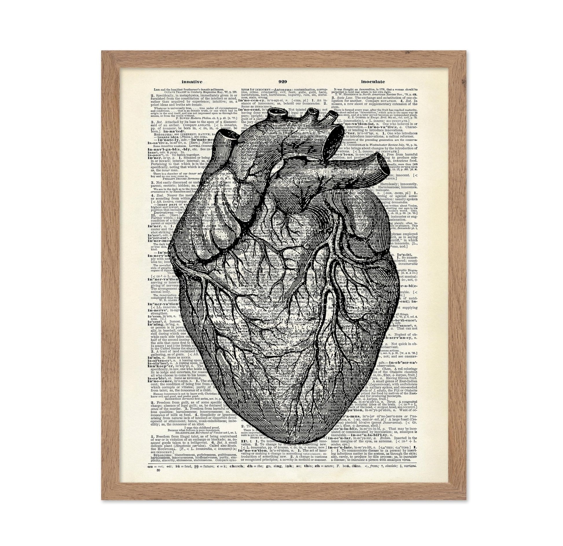 Anatomical Heart