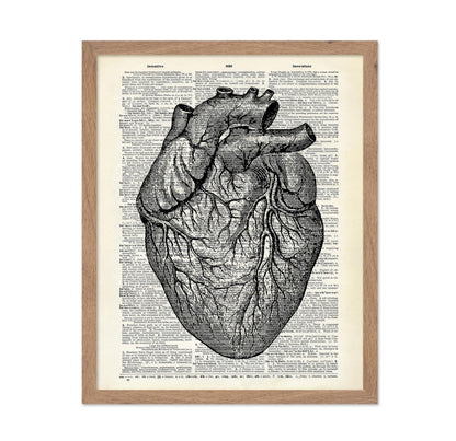 Anatomical Heart