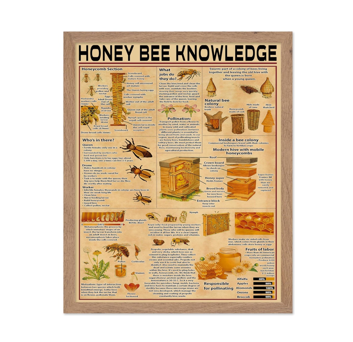 Honey Bee Knowledge