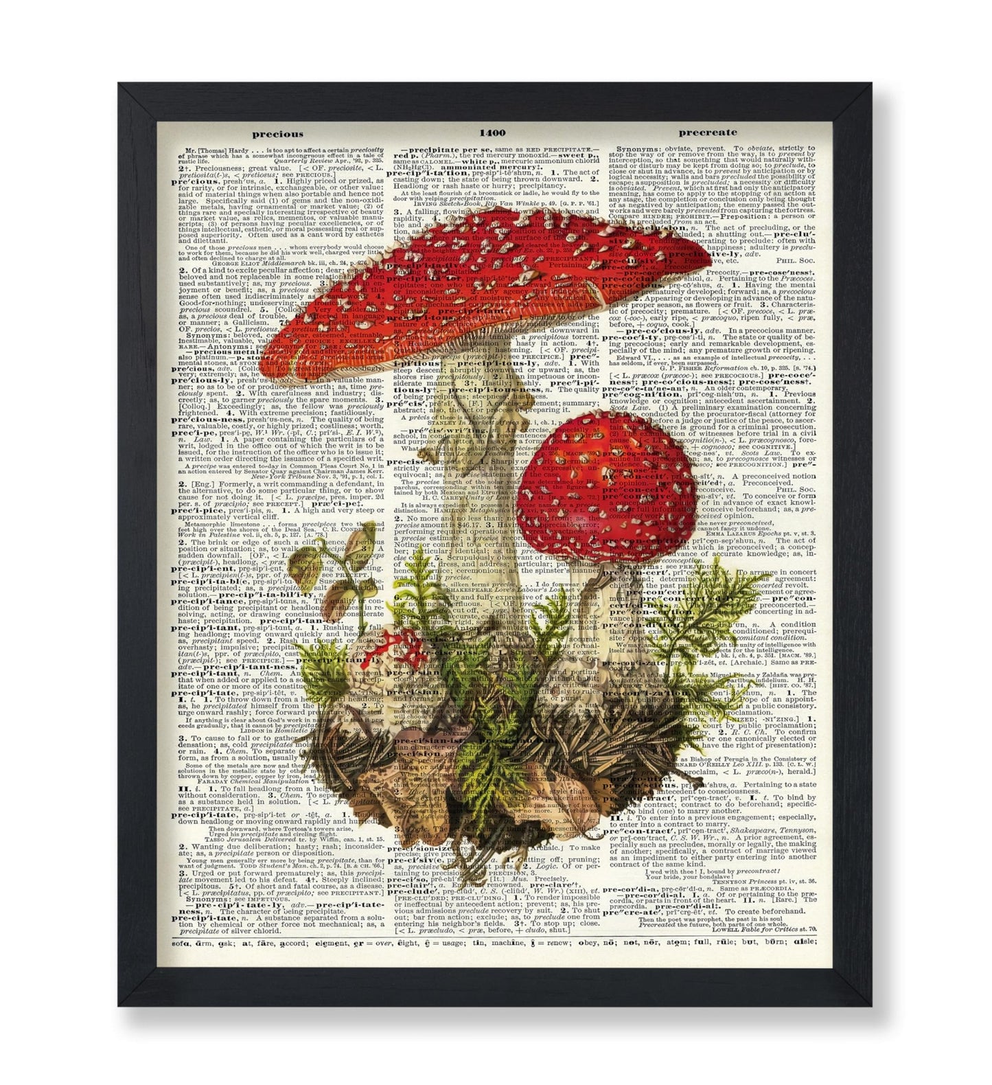 Fly Agaric Mushroom