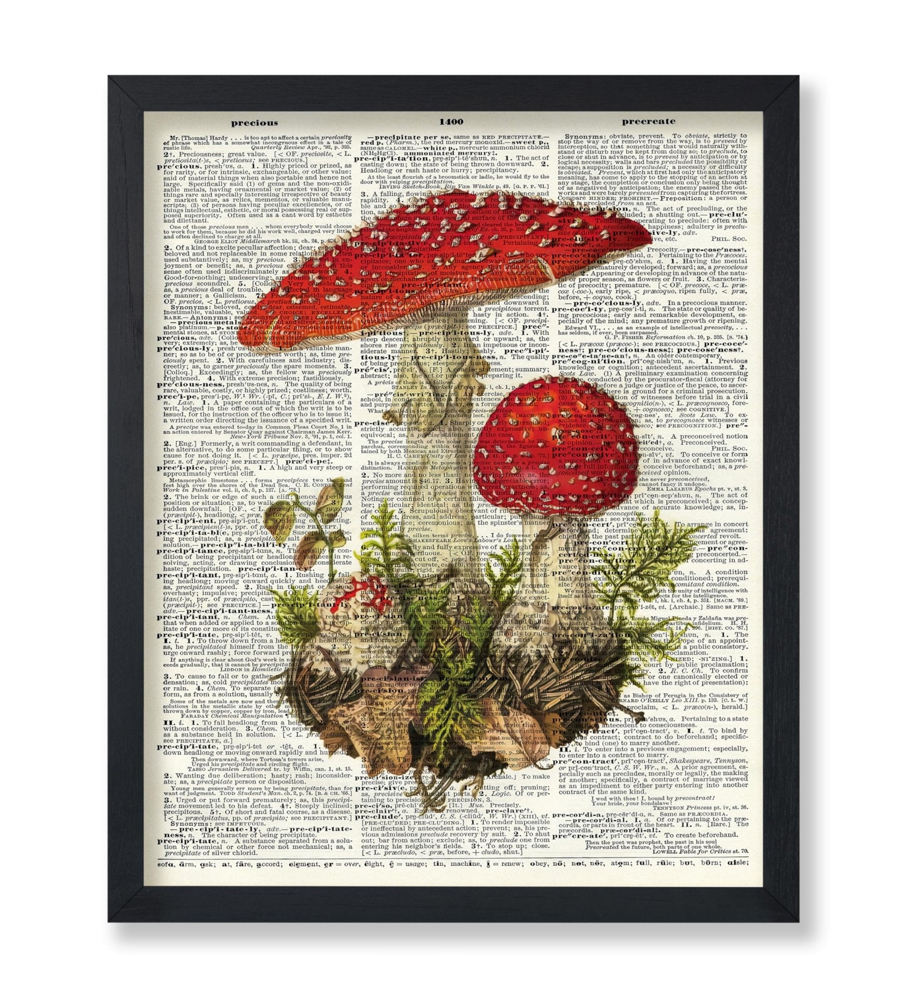 Fly Agaric Mushroom