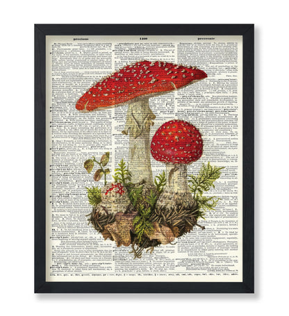 Fly Agaric Mushroom