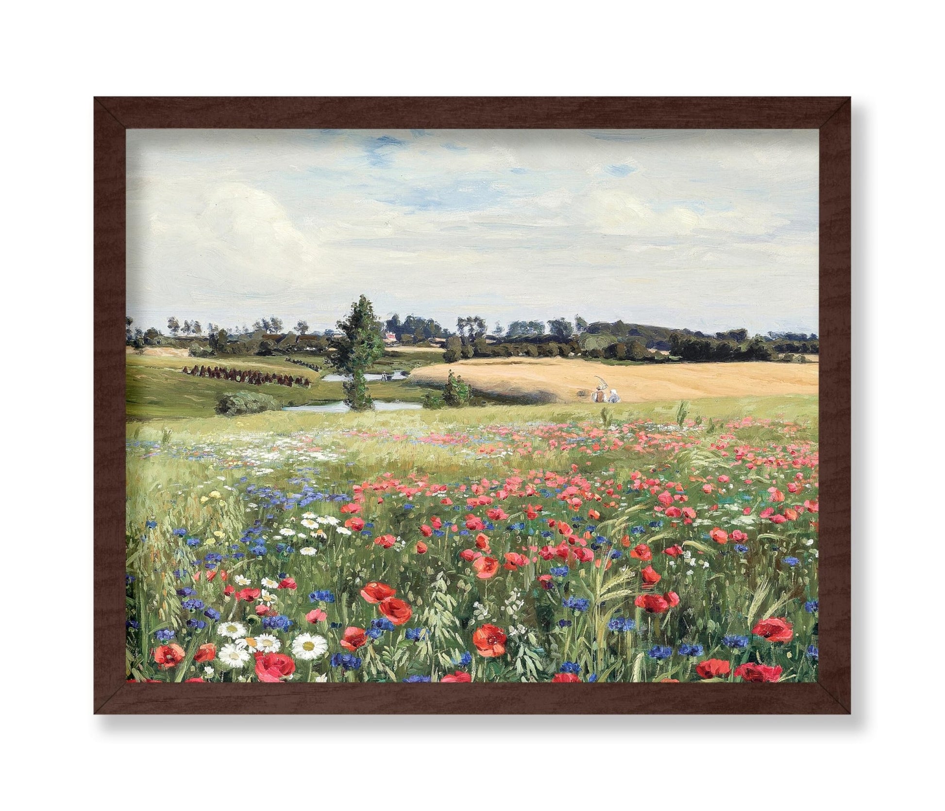 Field with Poppies and Daisies