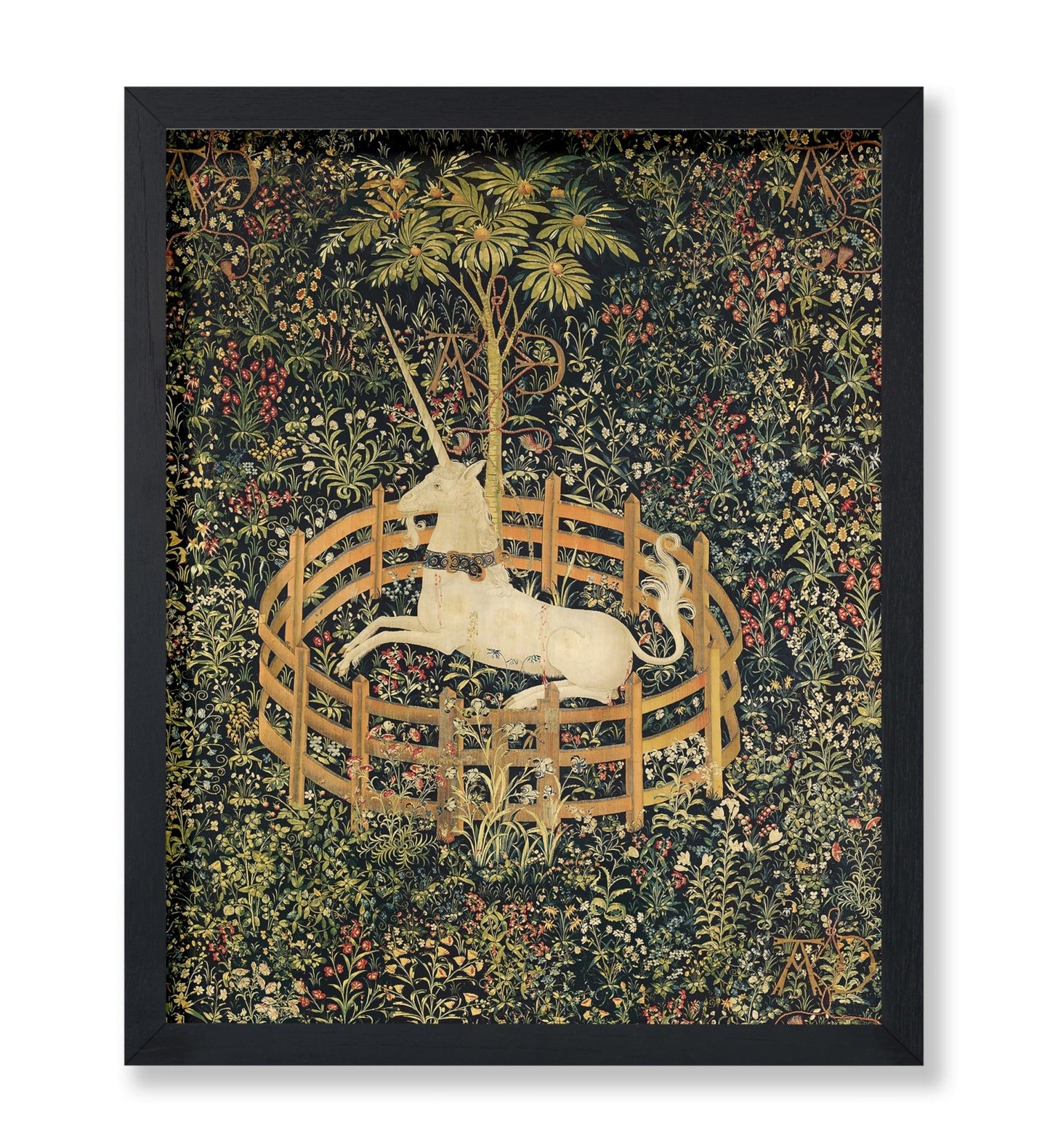 The Unicorn in Captivity