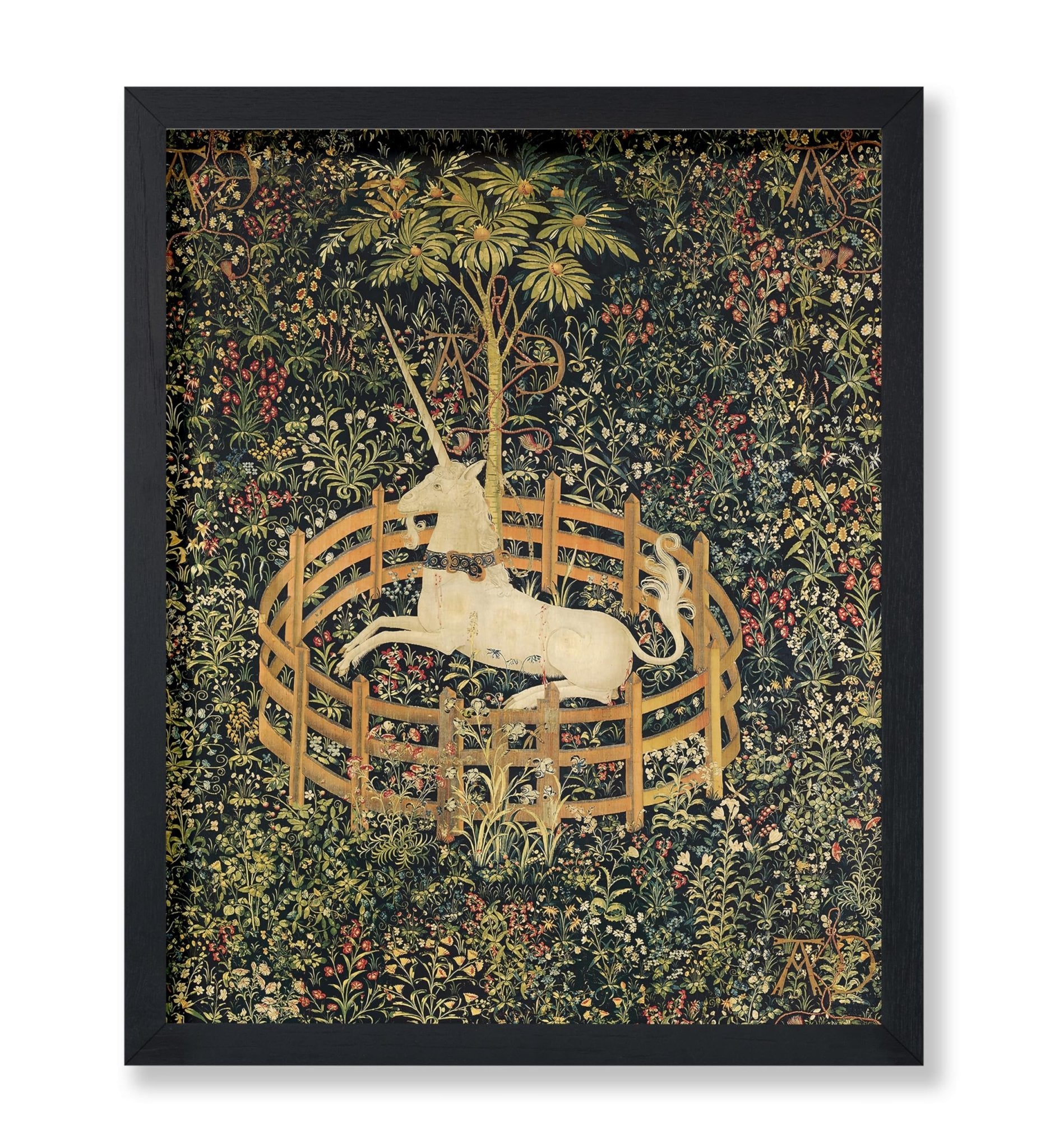 The Unicorn in Captivity