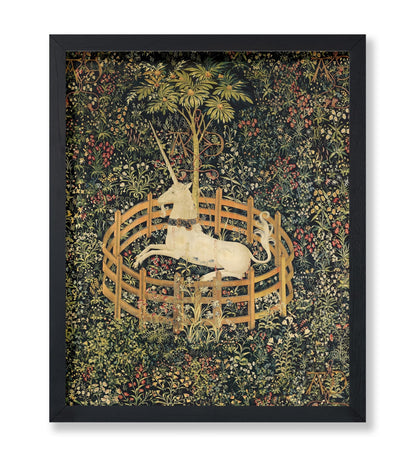 The Unicorn in Captivity