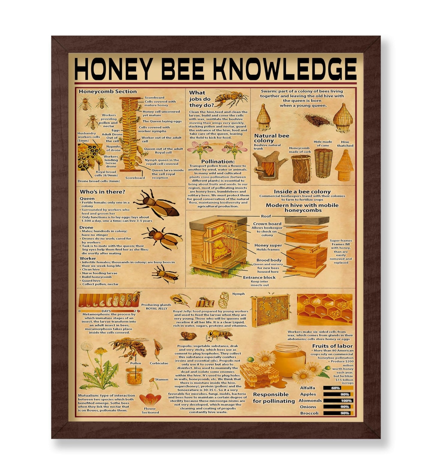 Honey Bee Knowledge