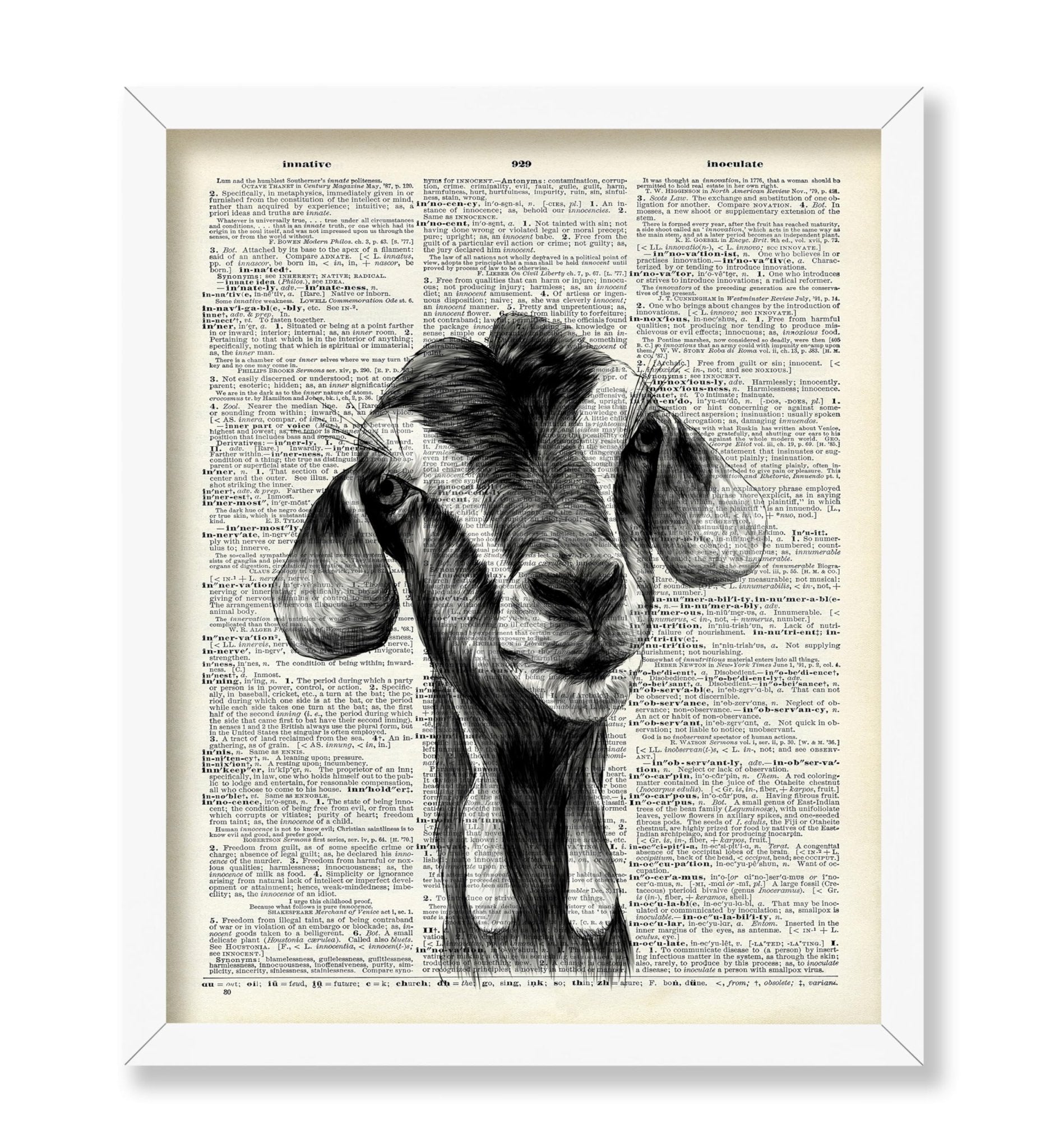 Goat Portrait