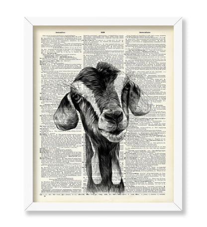 Goat Portrait