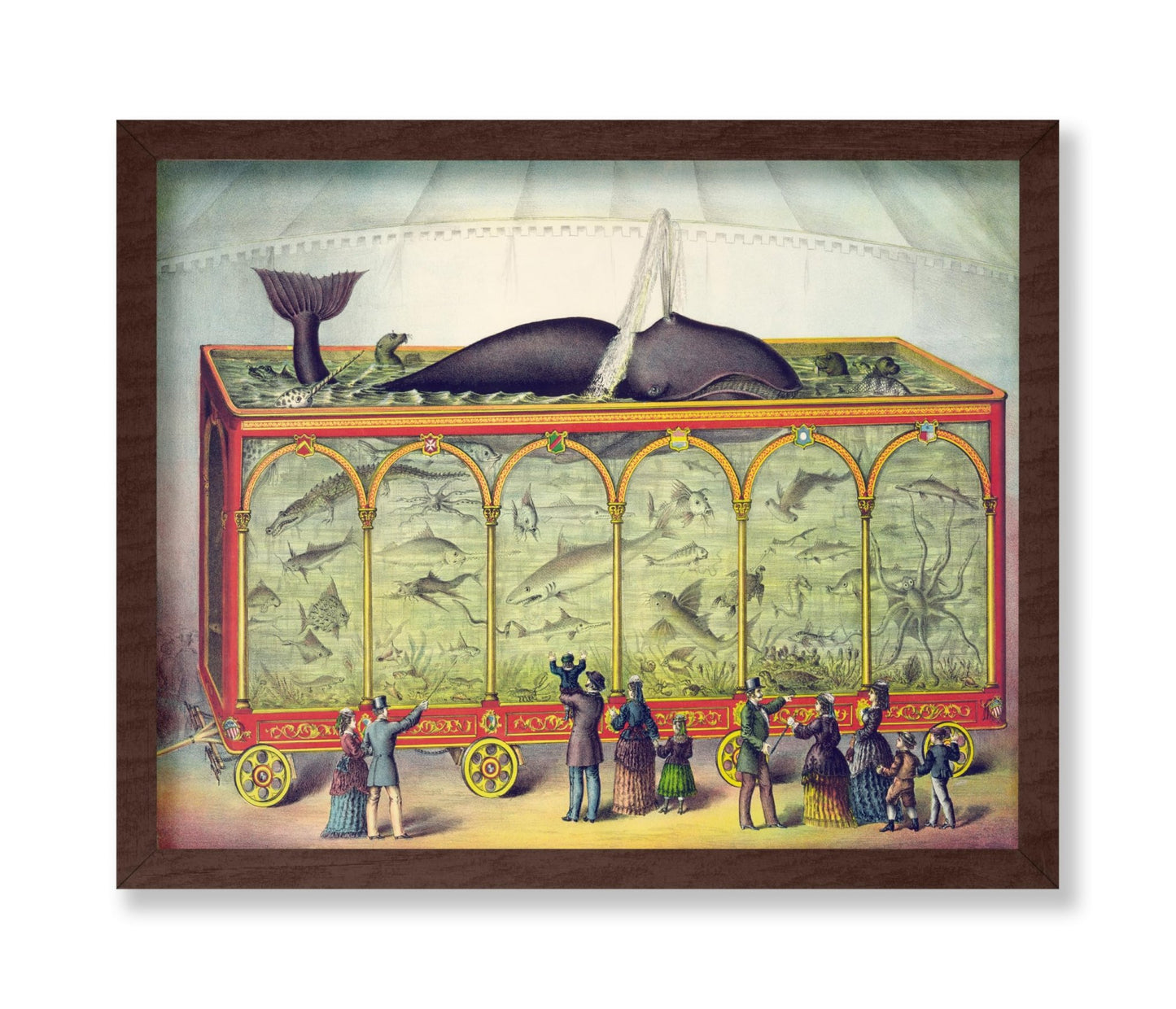 Circus Aquarium