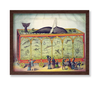 Circus Aquarium