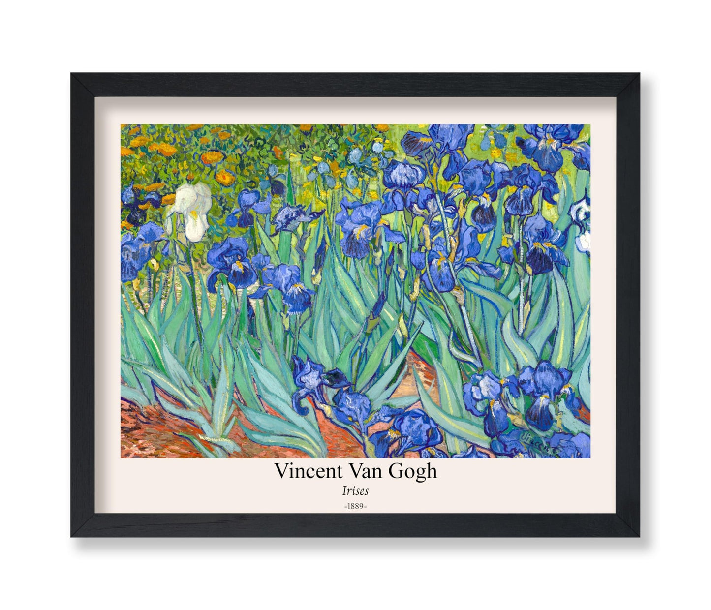 Van Gogh - Irises No2