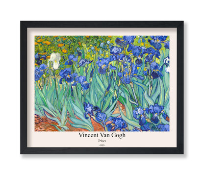 Van Gogh - Irises No2